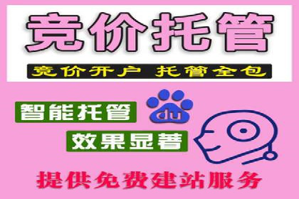 某品牌通过百度竞价提升线上销售业绩的案例